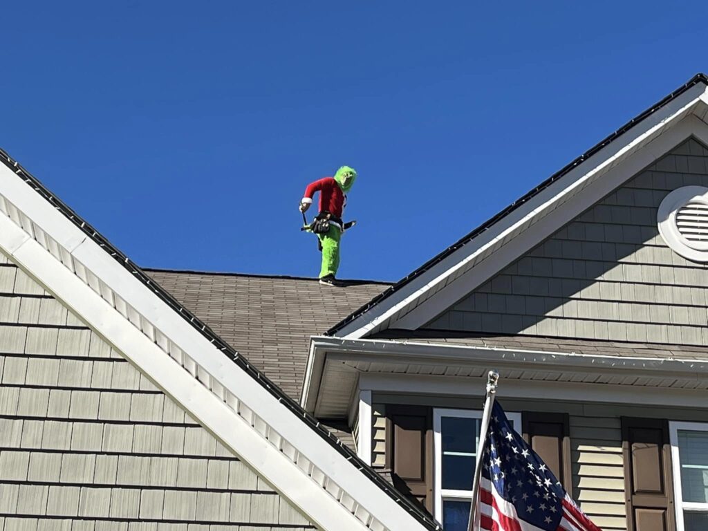 Roof Assessment​