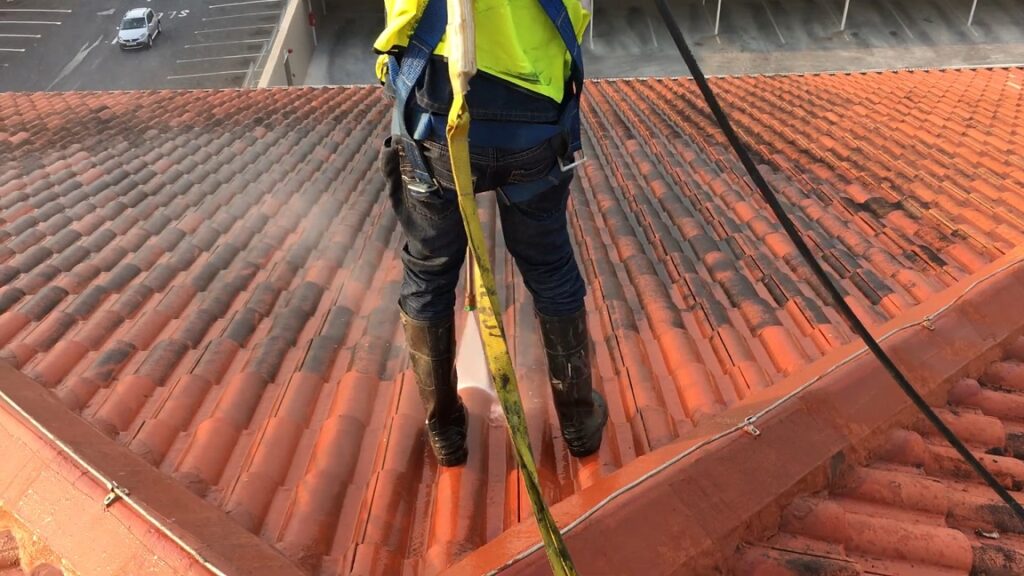 Roof Cleaning​